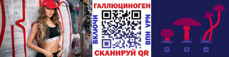 Псилоцибиновые грибы Psilocybine cubensis  Приморск 